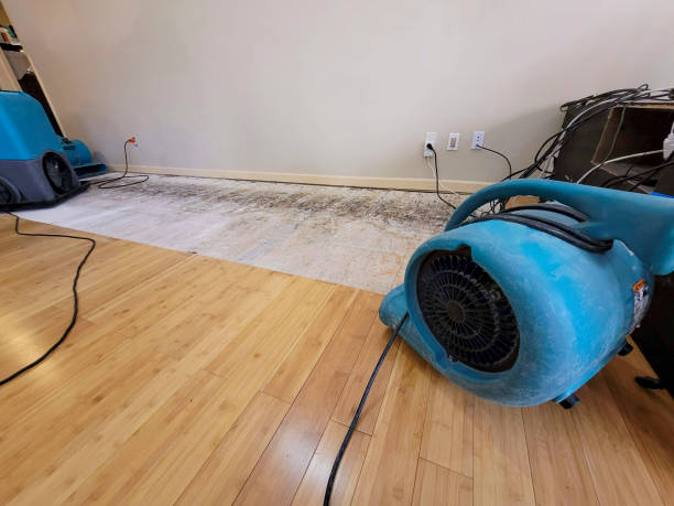 Professional Structural Drying technician working in Lometa, TX